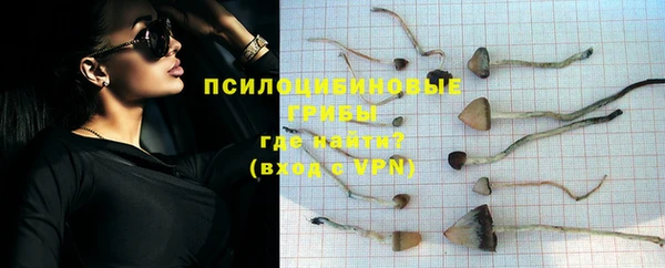гашишное масло Богданович
