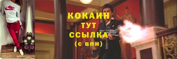 МДПВ Бородино