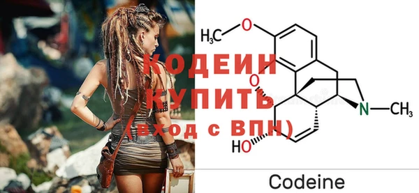 МДПВ Бородино