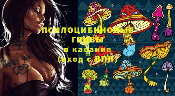 МДПВ Бородино
