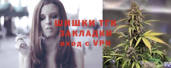 МДПВ Бородино